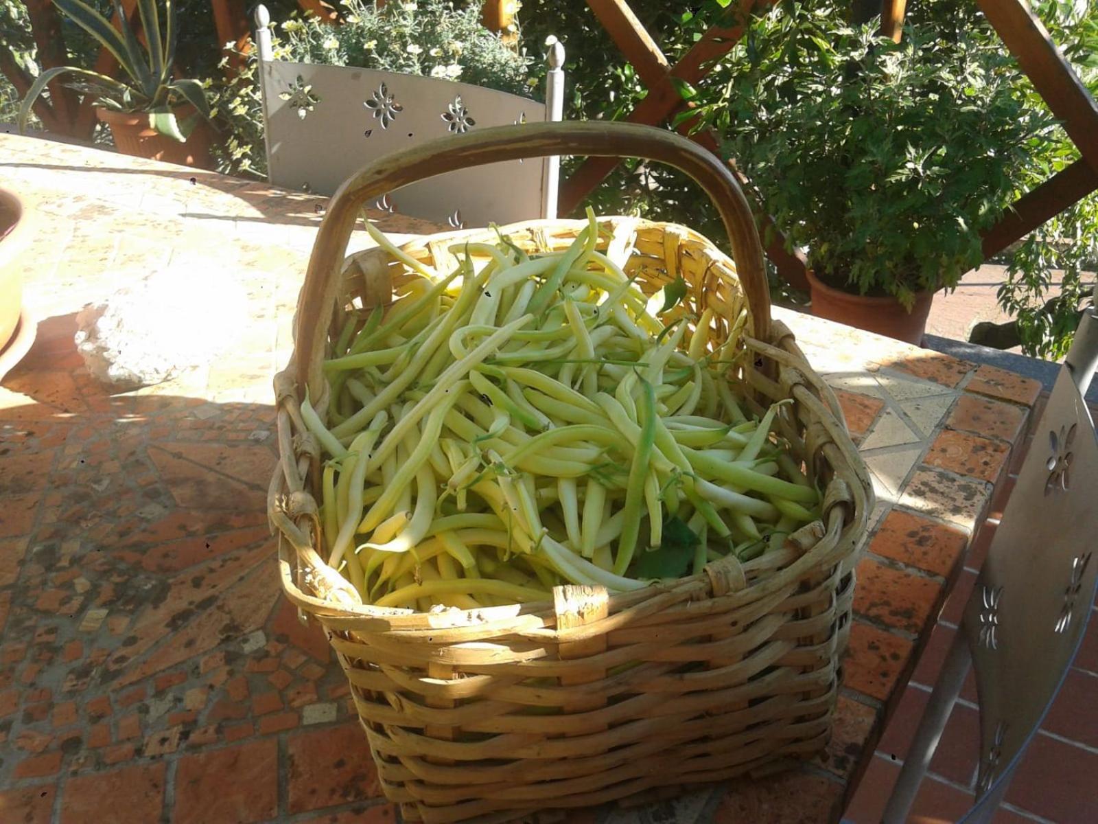 Agriturismo Caruggiu Di Via Vecchia Orco Feglino Exterior foto